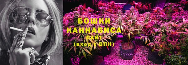 PSILOCYBIN Протвино