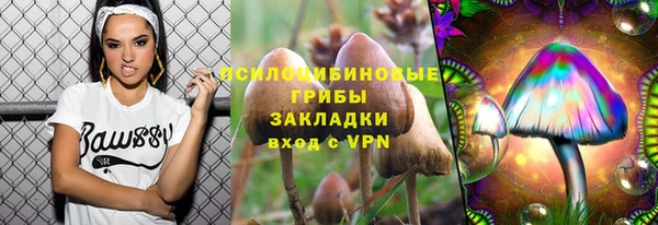 PSILOCYBIN Протвино