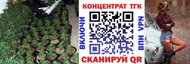 ТГК концентрат  Купить закладки  Зверево 
