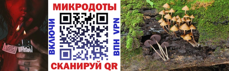 Купить закладки  Зверево  Галлюциногенные грибы GOLDEN TEACHER 